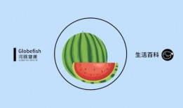 吃瓜电台第六期免费观看,免费观看背后的精彩内容大揭秘